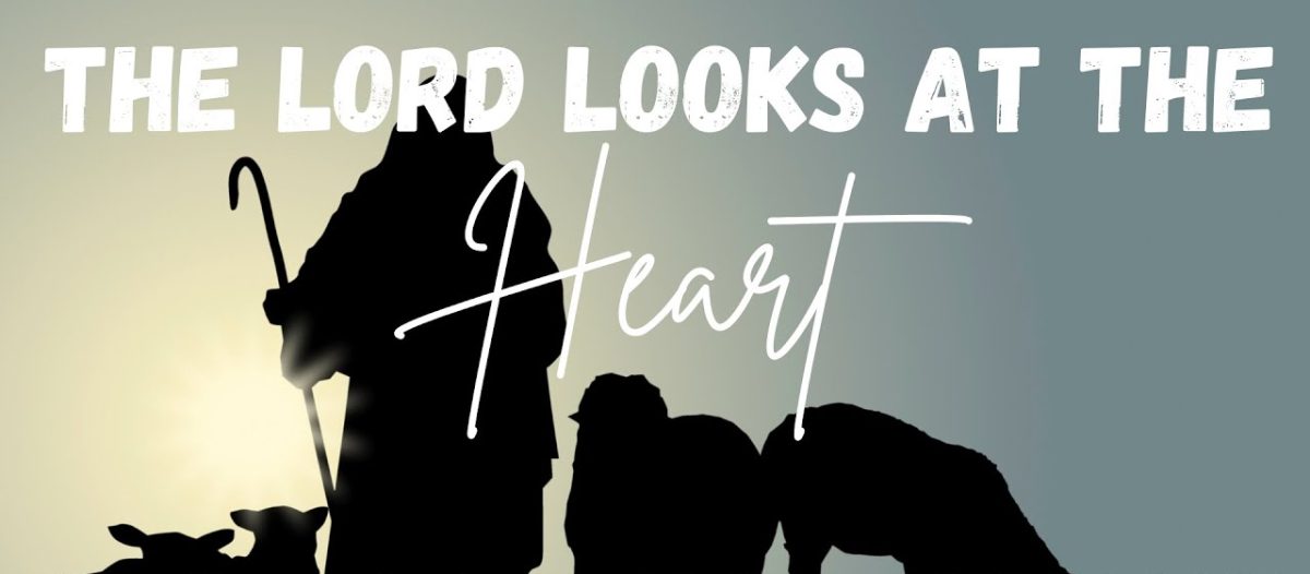 Two Options: Appearance or Heart?