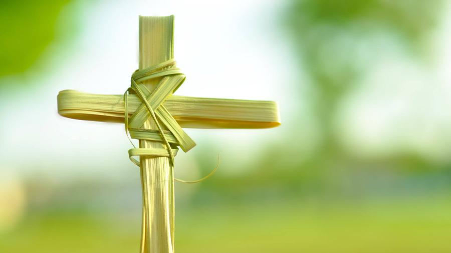 Palm Sunday or Passion Sunday